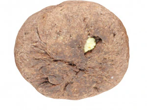 Cookie 03 3D Model