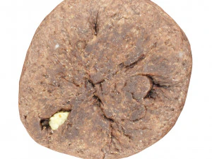 Cookie 03 3D Model