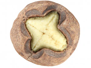 Cookie 03 3D Model
