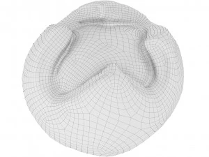 Cookie 03 3D Model
