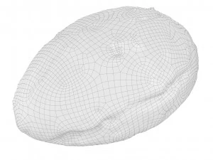 Cookie 04 3D Model