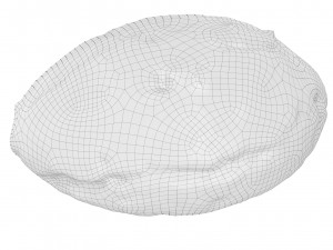 Cookie 04 3D Модель
