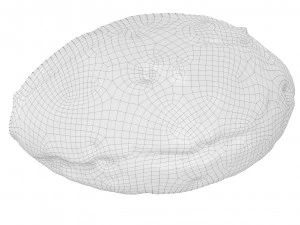 Cookie 04 3D Model