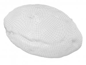 Cookie 04 3D Model
