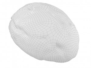 Cookie 04 3D Модель