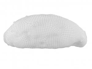 Cookie 04 3D Model