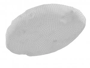 Cookie 04 3D Model