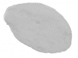 Cookie 04 3D Model