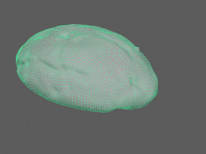 Cookie 04 3D Модель