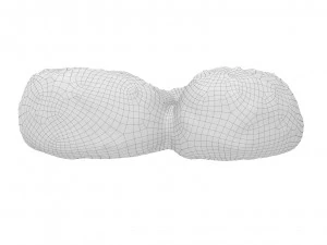 Cookie 05 3D Model