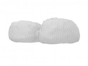 Cookie 05 3D Model