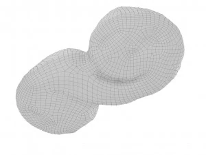 Cookie 05 3D Model