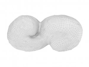 Cookie 05 3D Model