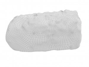 Cookie 06 3D Model