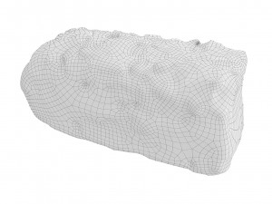 Cookie 06 3D Model