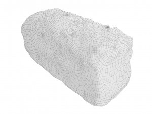 Cookie 06 3D Model