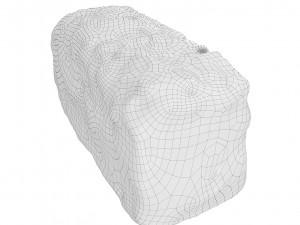 Cookie 06 3D Model