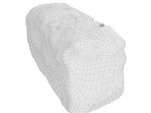 Cookie 06 3D Model