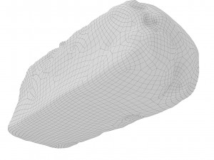 Cookie 06 3D Model