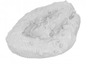 Cookie 07 3D Model