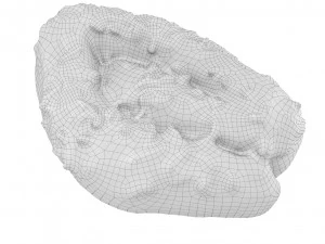 Cookie 07 3D Model