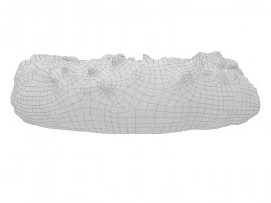 Cookie 07 3D Model