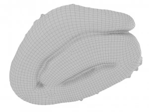 Cookie 07 3D Model