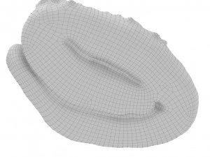 Cookie 07 3D Model