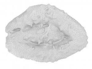 Cookie 07 3D Model