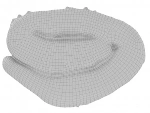 Cookie 07 3D Model