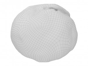 Cookie 08 3D Model