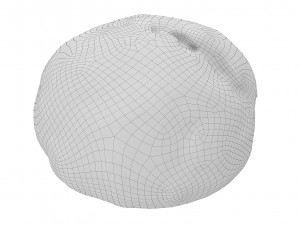 Cookie 08 3D Model