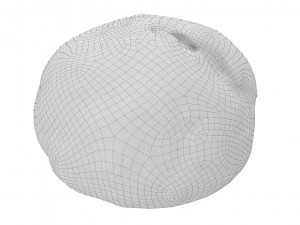 Cookie 08 3D Model