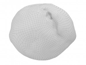 Cookie 08 3D Model