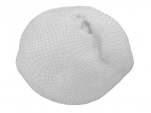 Cookie 08 3D Model