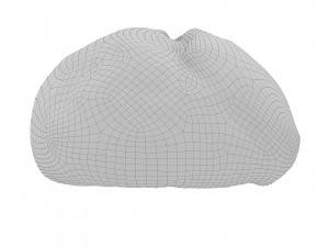 Cookie 08 3D Model