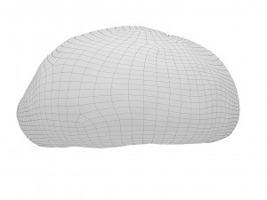 Cookie 08 3D Model