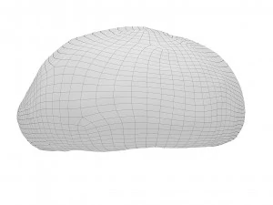 Cookie 08 3D Model