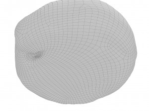 Cookie 08 3D Model
