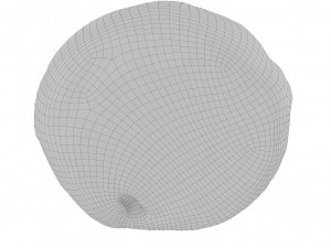 Cookie 08 3D Model