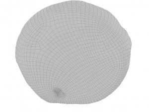 Cookie 08 3D Model