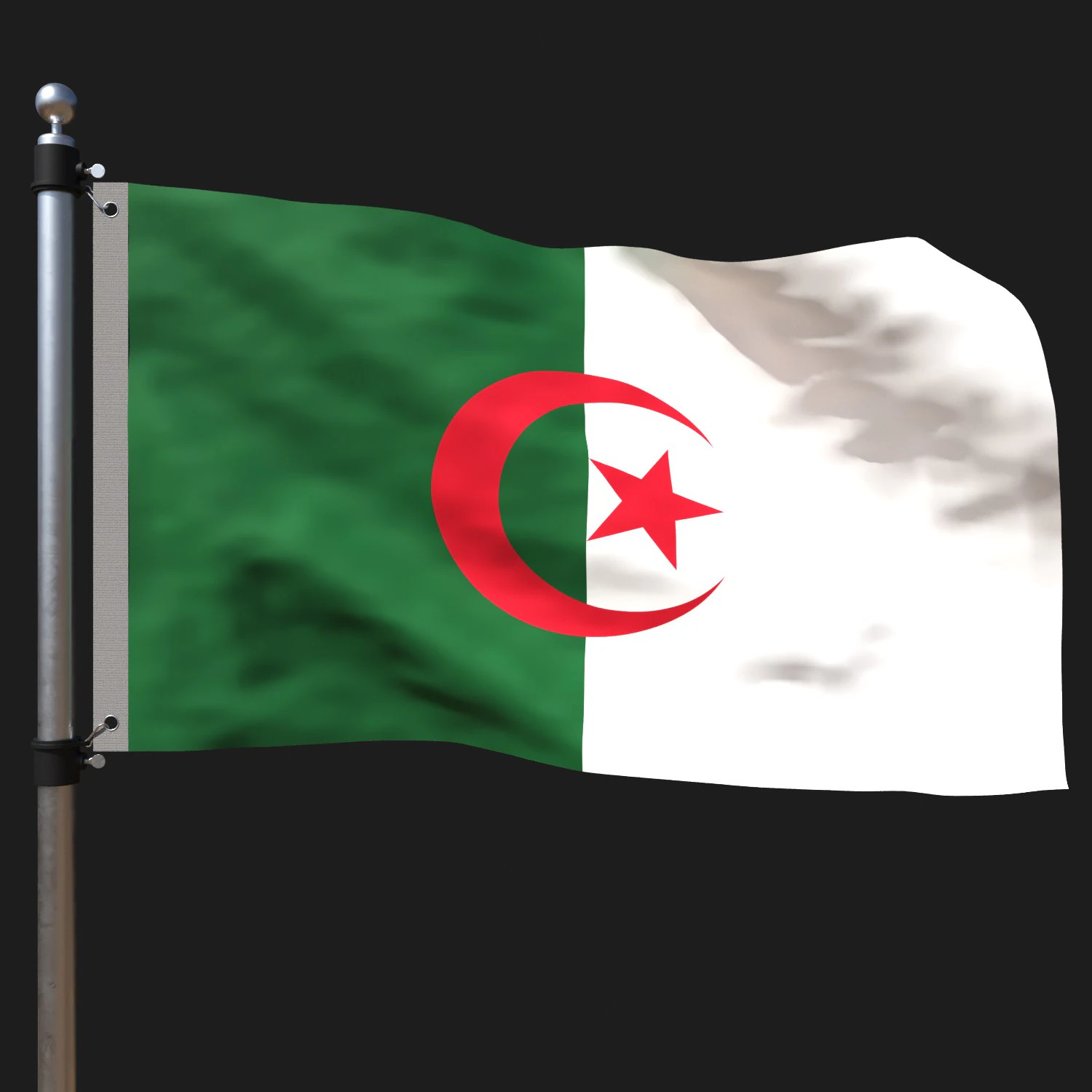 Flag of algeria 3D Model .c4d .max .obj .3ds .fbx .stl .blend