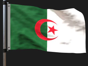 Flag of algeria 3D Model