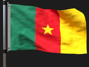 喀麦隆国旗 3D 模型
