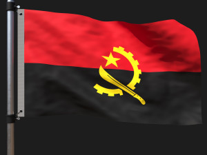 Flag of angola 3D Model