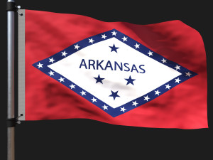 Flag of arkansas 3D Model