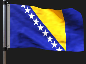Bandera de bosnia y herzegovina Modelo 3D