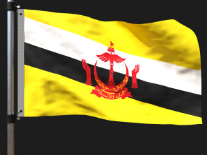 Flag of brunei Modelo 3D
