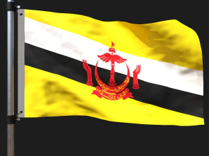 Bandeira de Brunei Modelo 3D