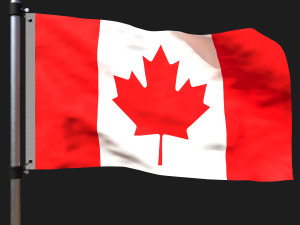 Flag of canada 3D Model